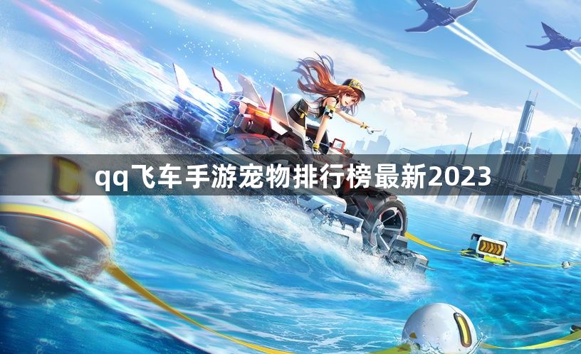 qq飞车手游宠物排行榜最新2023